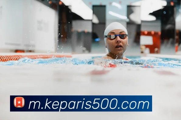 500彩票平台生态图