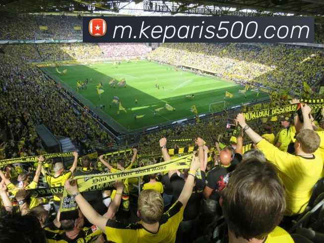 500彩票APP 封面图